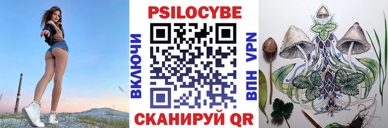 мега как войти  Бирюсинск  Псилоцибиновые грибы мицелий 